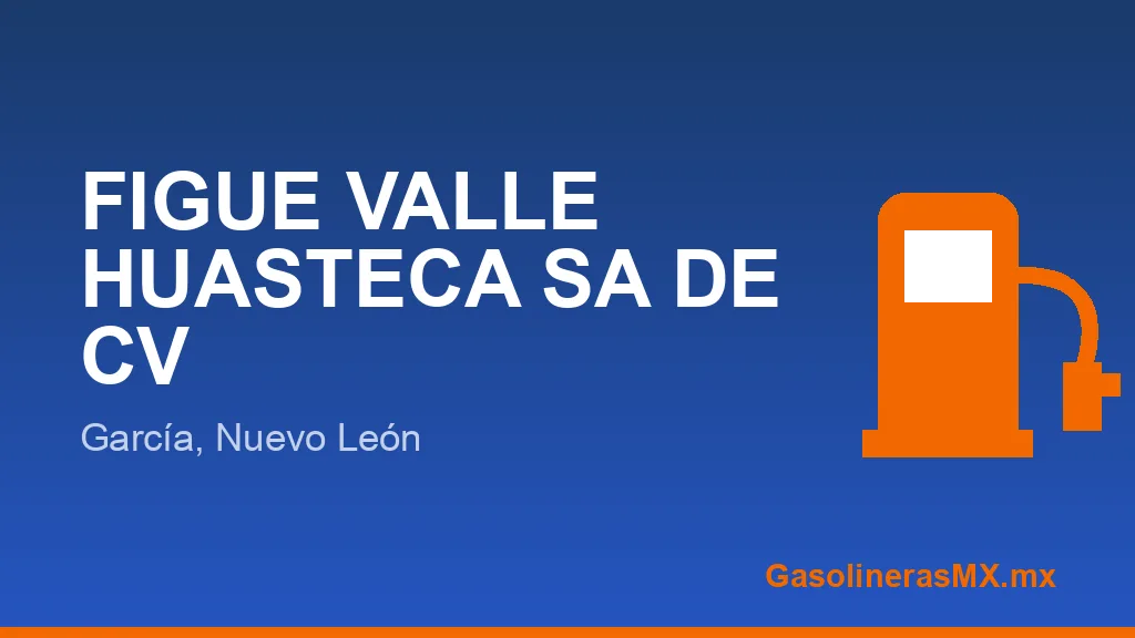 FIGUE VALLE HUASTECA SA DE CV FIGUE VALLE HUASTECA SA DE CV