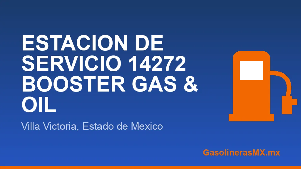 BOOSTER GAS & OIL SA DE CV BOOSTER GAS & OIL SA DE CV