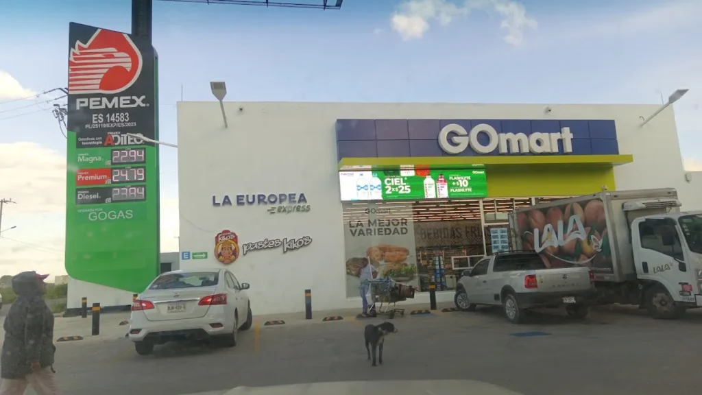 GASOLINERIA DON GOYO SA DE CV GASOLINERIA DON GOYO SA DE CV