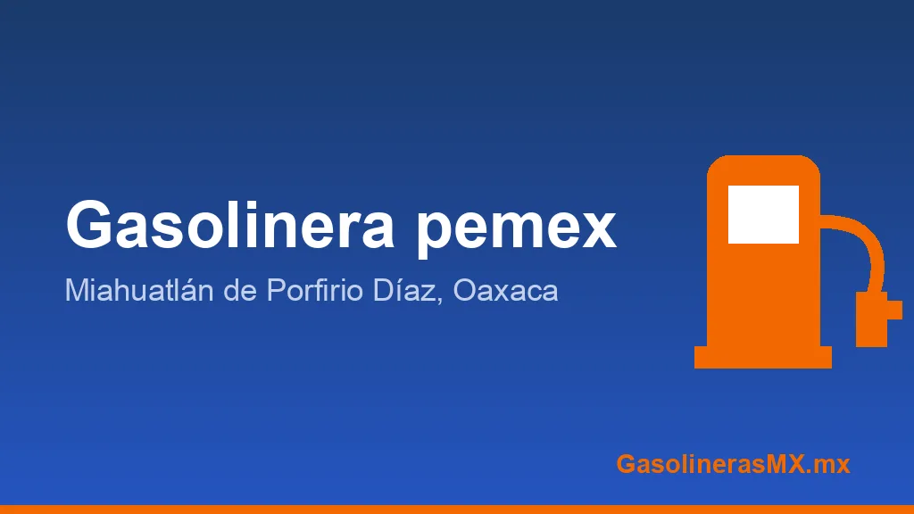 GASOLINERA VALLE DEL SUR SA DE CV GASOLINERA VALLE DEL SUR SA DE CV