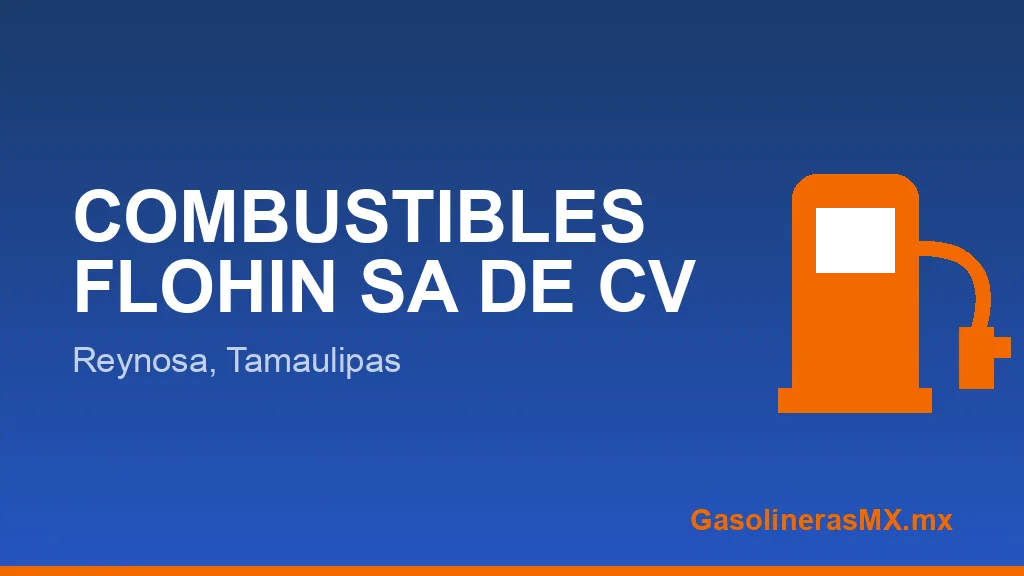 COMBUSTIBLES FLOHIN SA DE CV COMBUSTIBLES FLOHIN SA DE CV