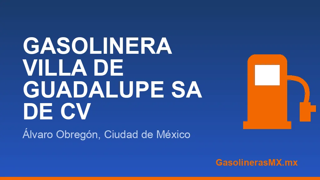 GASOLINERA VILLA DE GUADALUPE SA DE CV GASOLINERA VILLA DE GUADALUPE SA DE CV