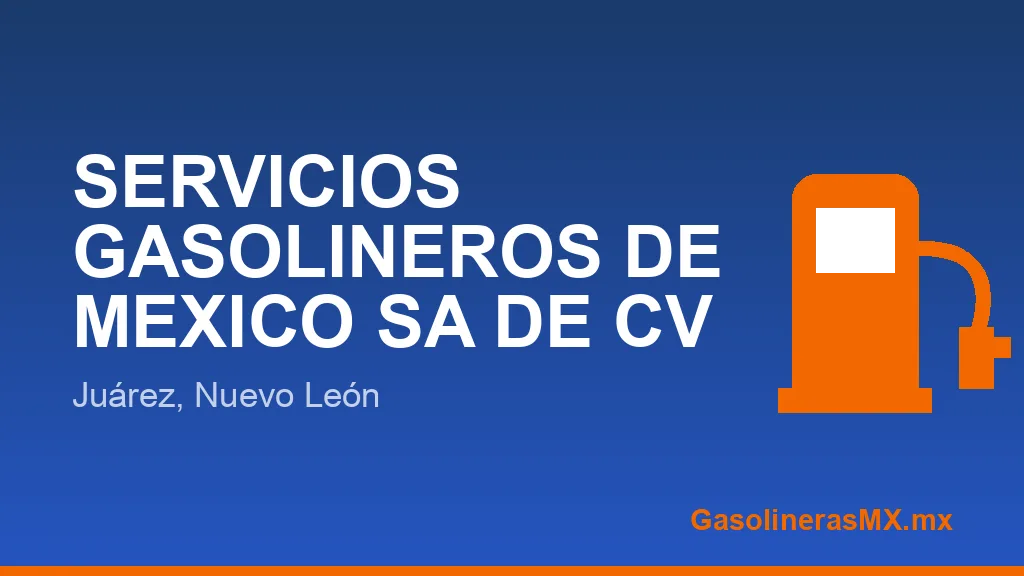 SERVICIOS GASOLINEROS DE MEXICO SA DE CV SERVICIOS GASOLINEROS DE MEXICO SA DE CV